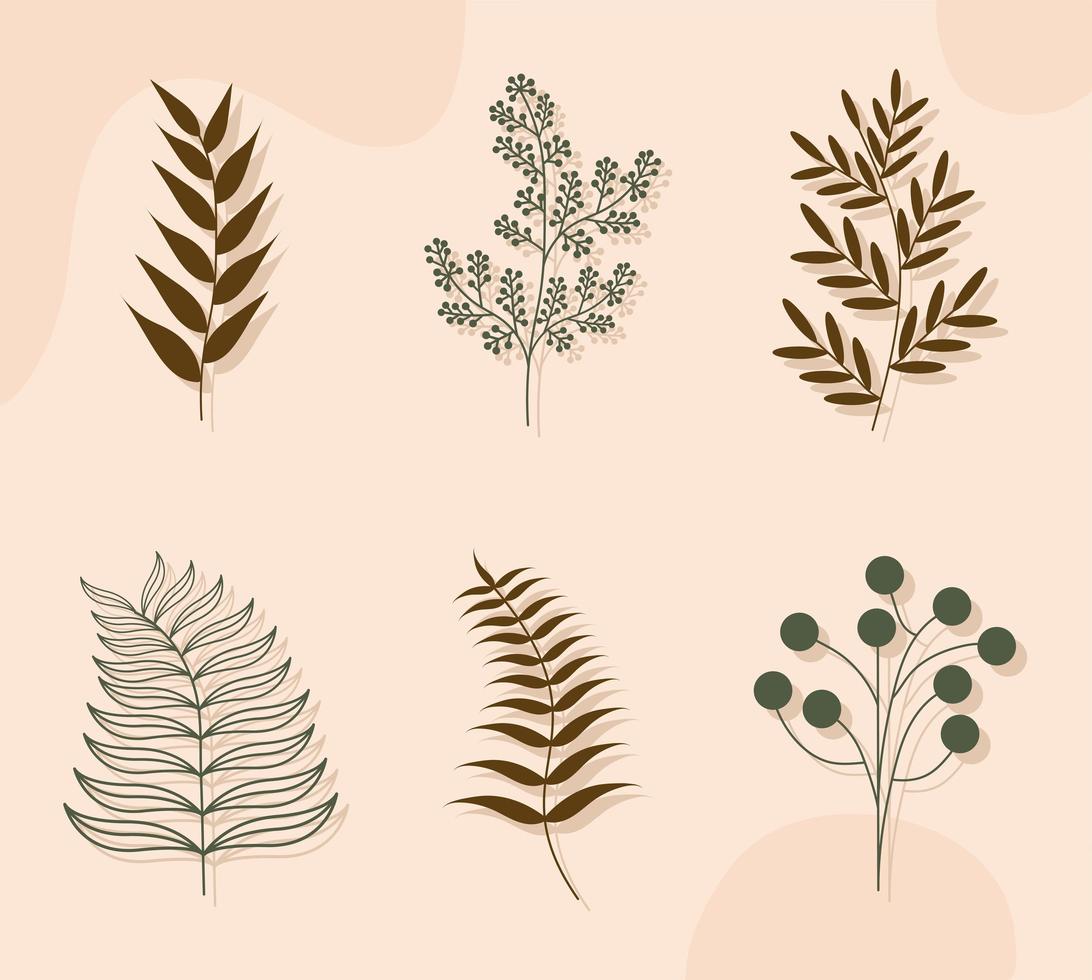 aesthetic plants set vector