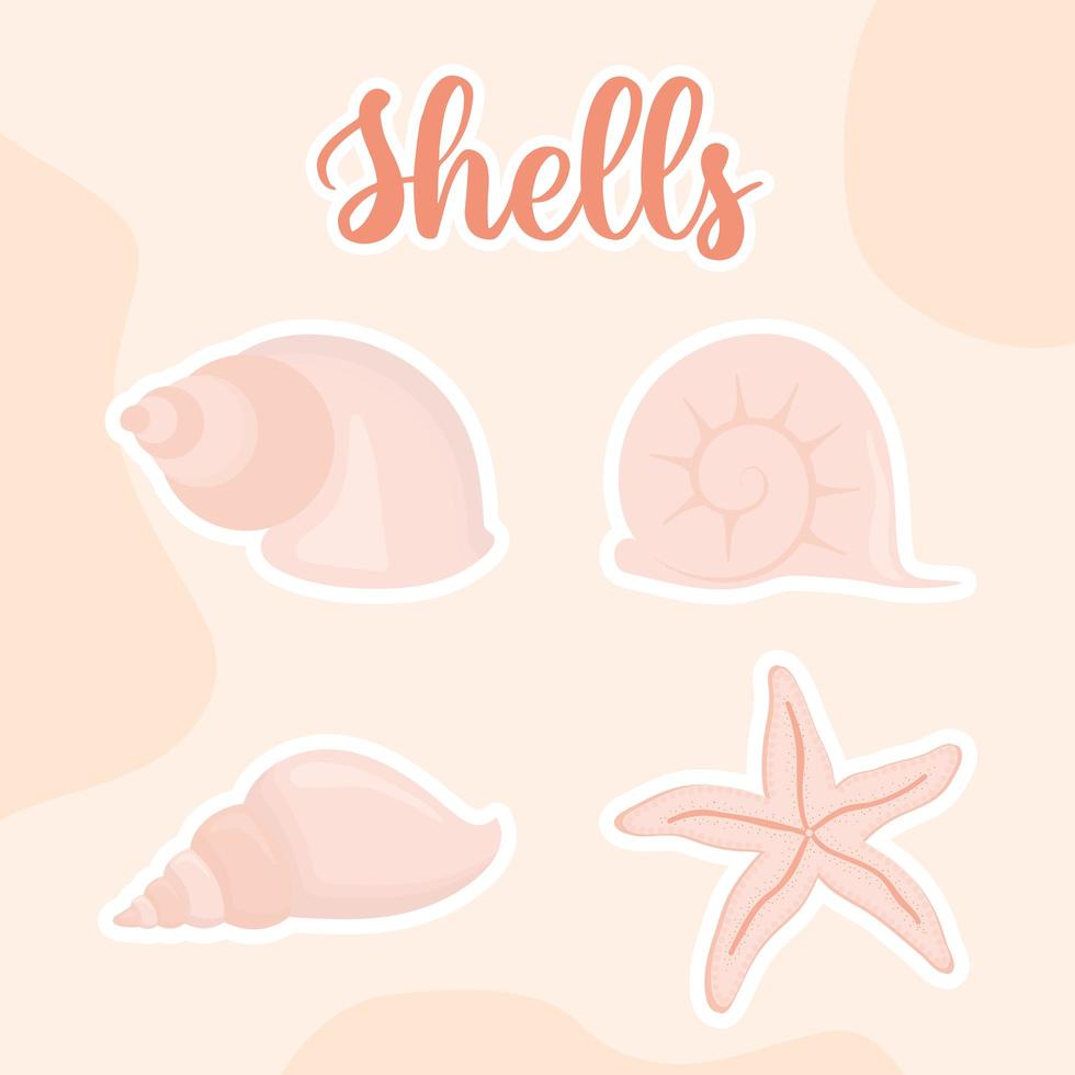 four seashell icons vector