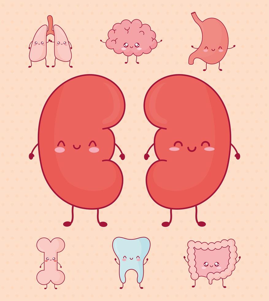 cute organs bundle vector