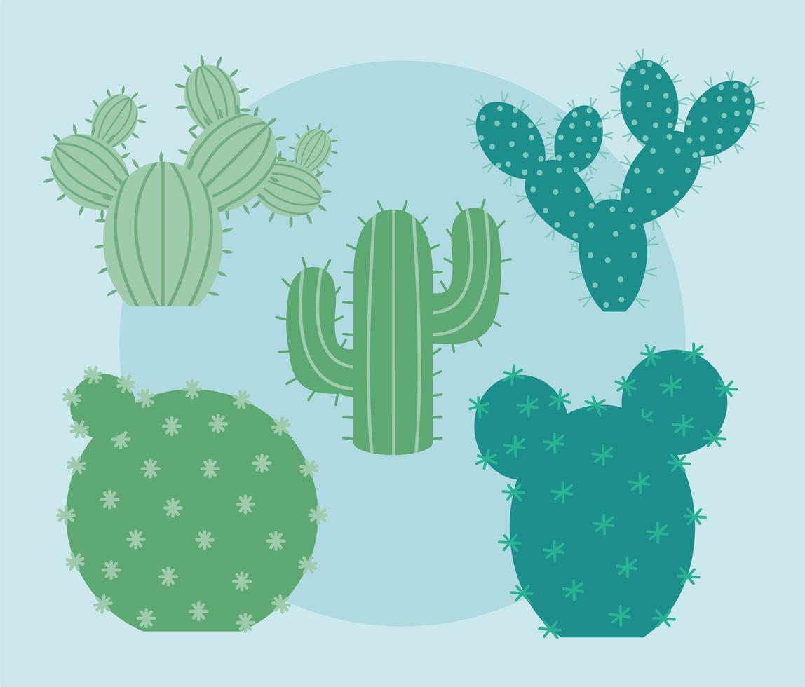 five cactus items vector