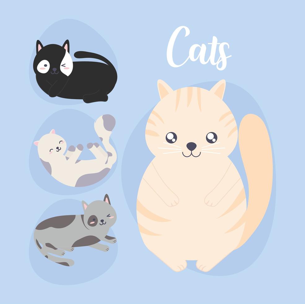 pretty cats card vector