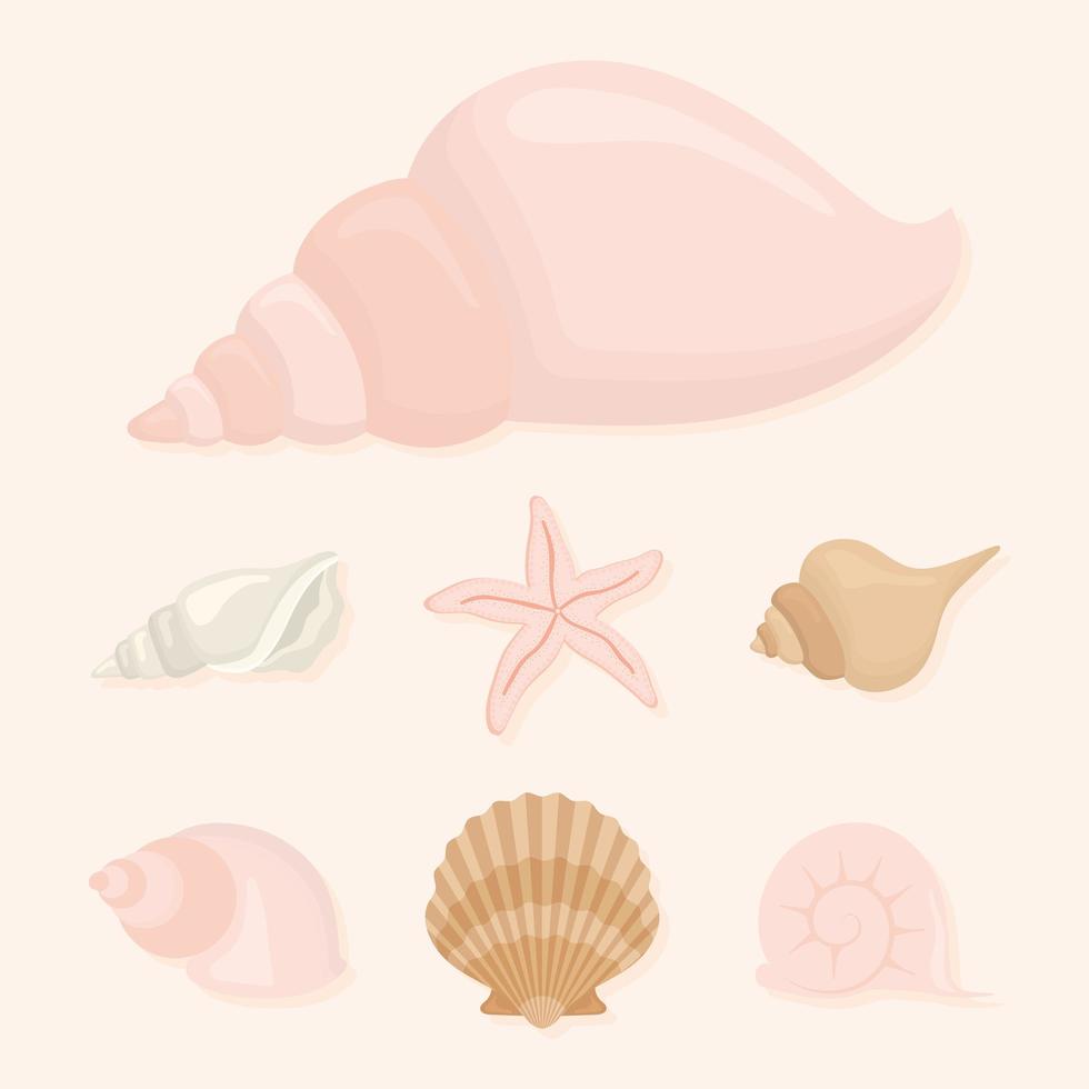 clams icons bundle vector