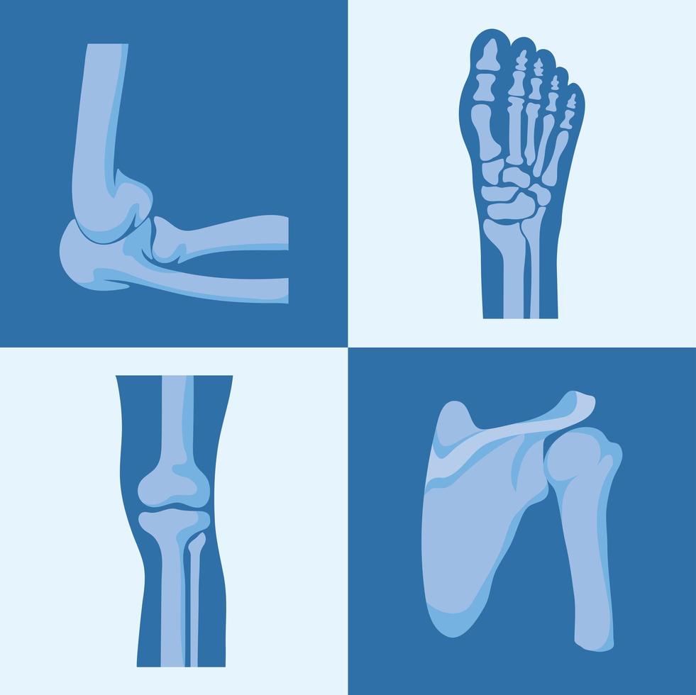 four rheumatology joints vector