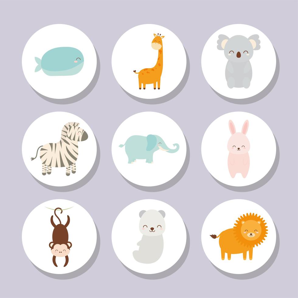 baby animals icons vector