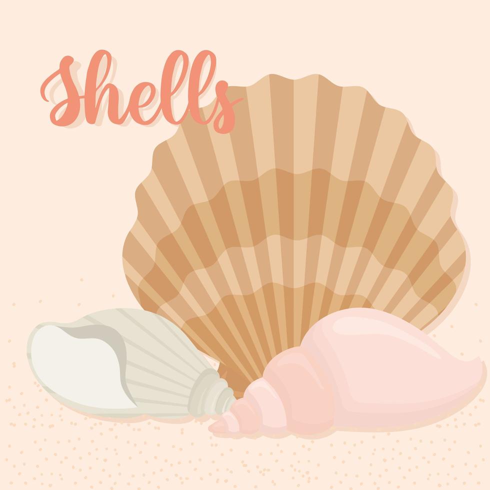 seashell icon bundle vector