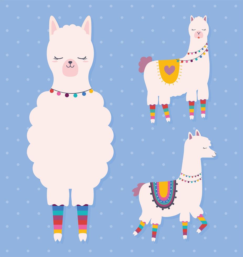 sweet llama set vector