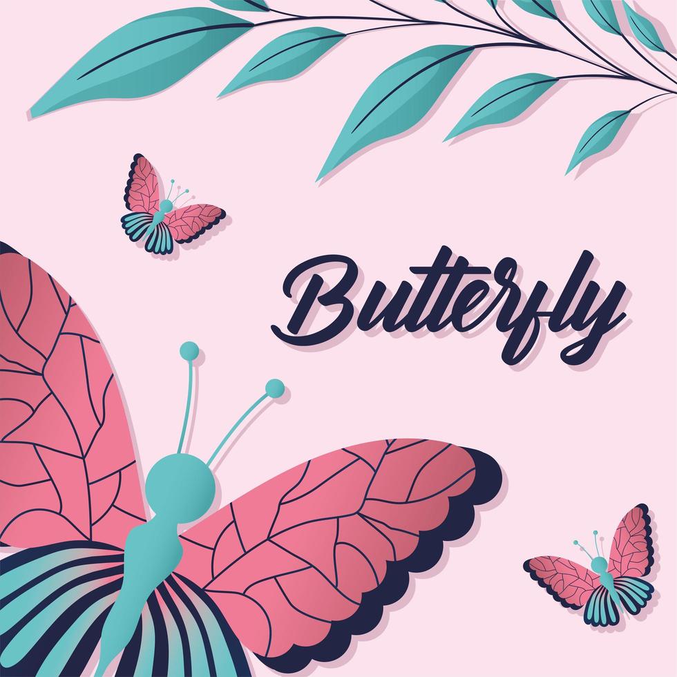 butterfly lettering on a pink background vector