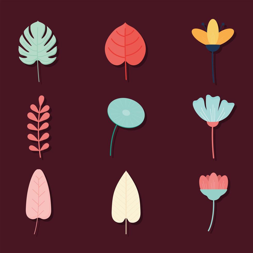 set of flowers on a crimson background vector