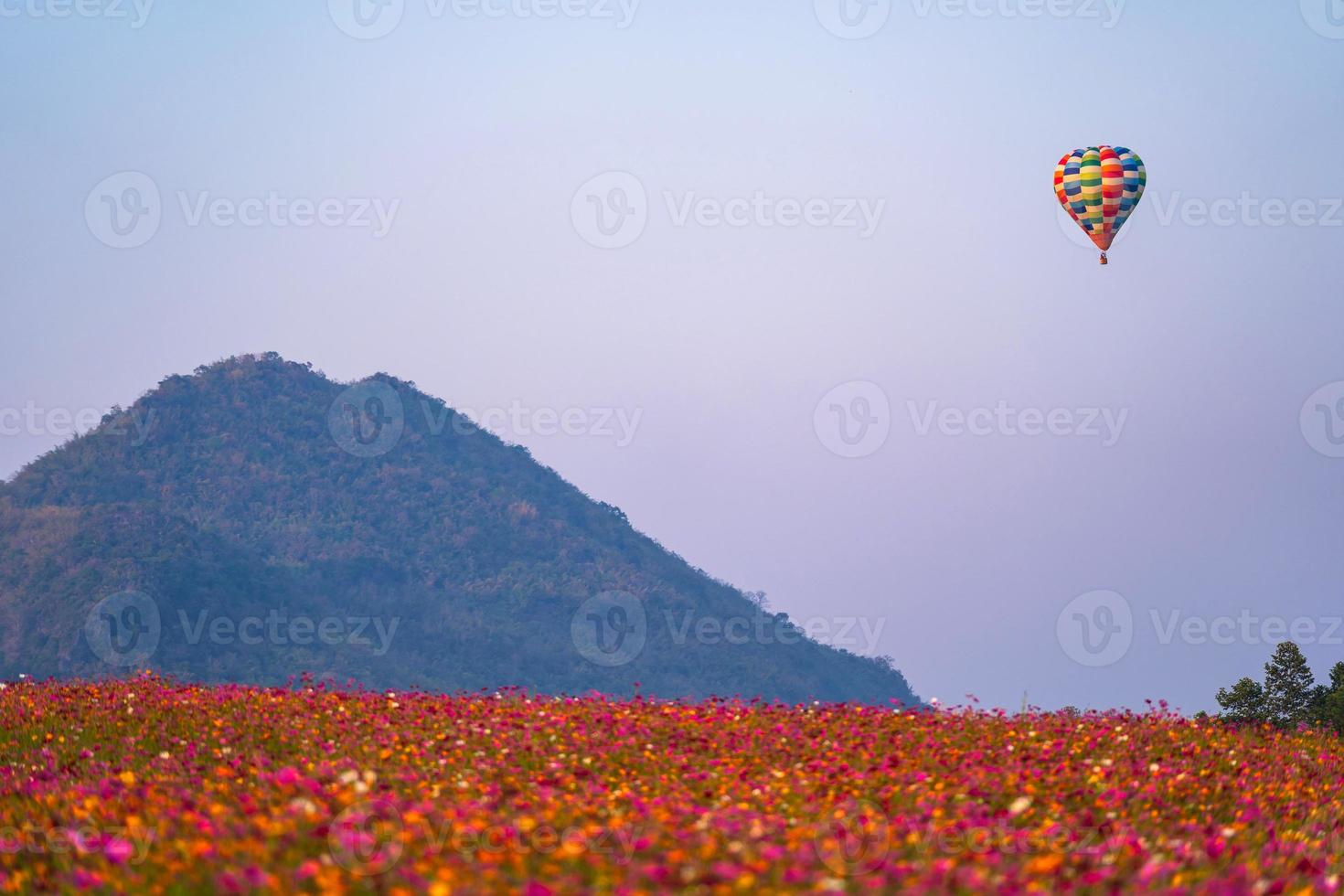 Balloon on blue sky over beautiful flower garden photo