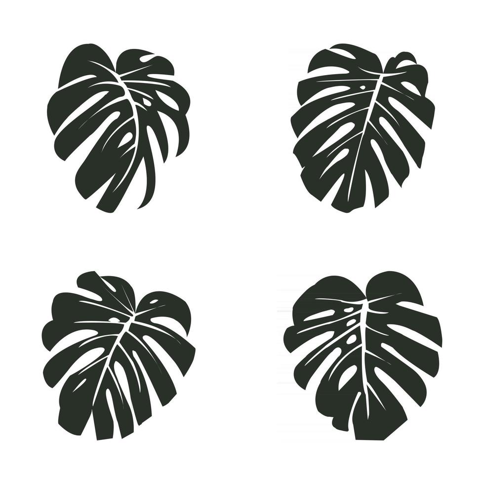 ilustración vectorial. planta tropical exótica. hojas de monstera. siluetas negras sobre fondo blanco. vector