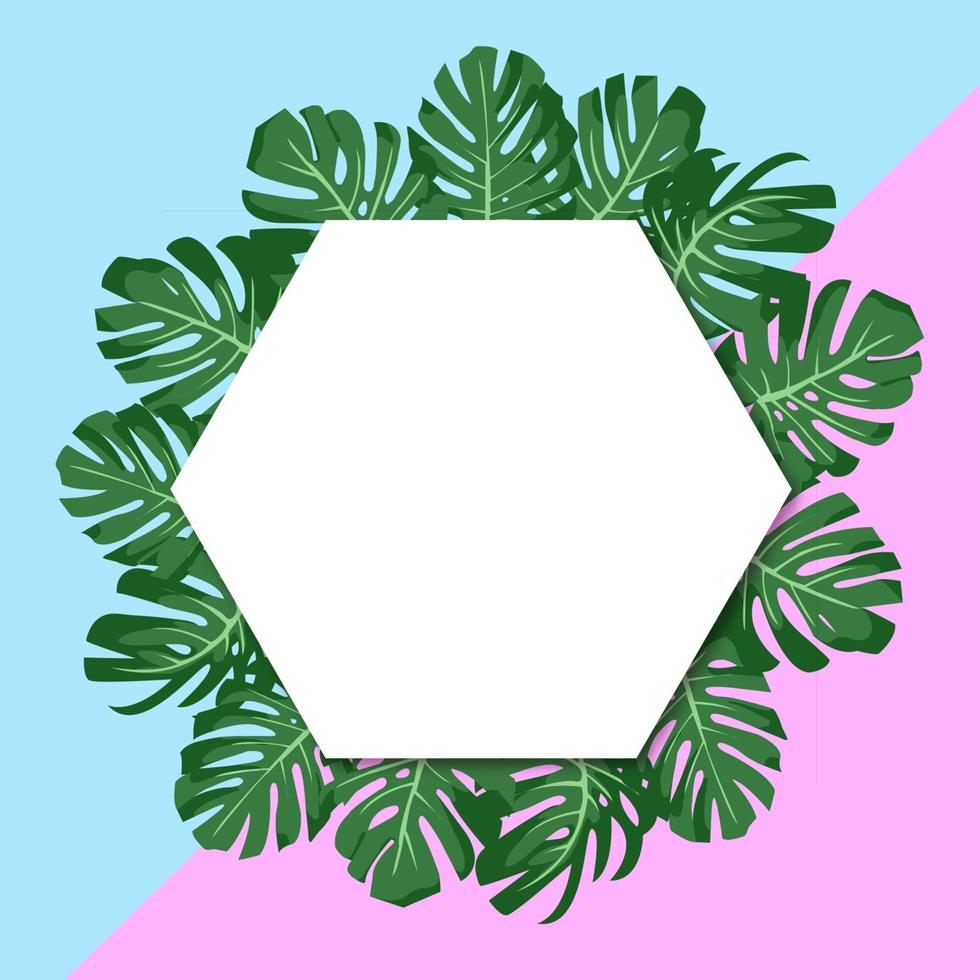 vector illustration. exotic tropical green leaves monstera. paper banner hexagon. blue and pink background