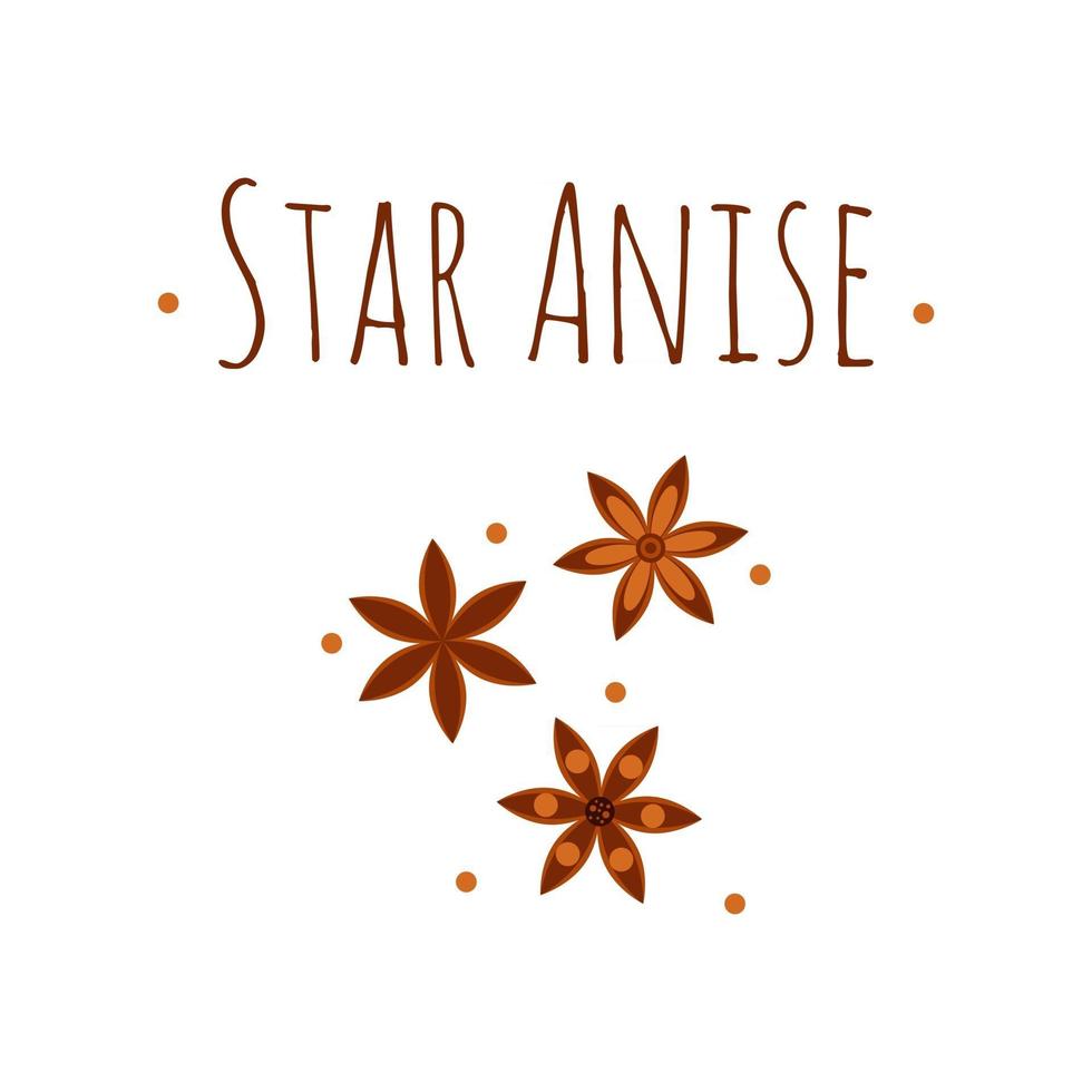Vector illustration. Spice. Star anise. Badian.