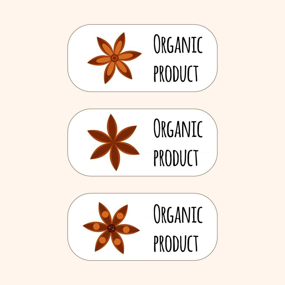 vector illustration. Spice. Star anise Badian. Set of logo. Organic product