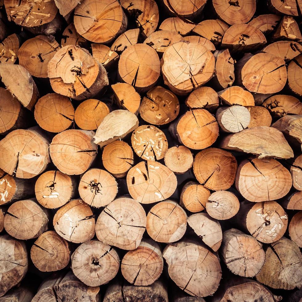 Viejo tronco de madera y texturas de madera. foto