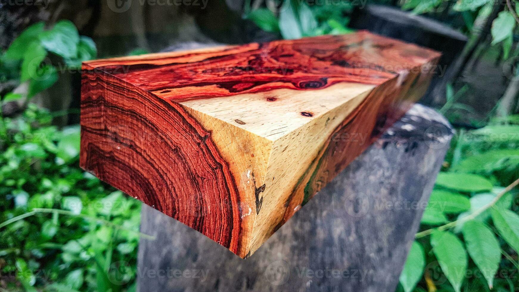 troncos de madera de palo de rosa de Birmania foto