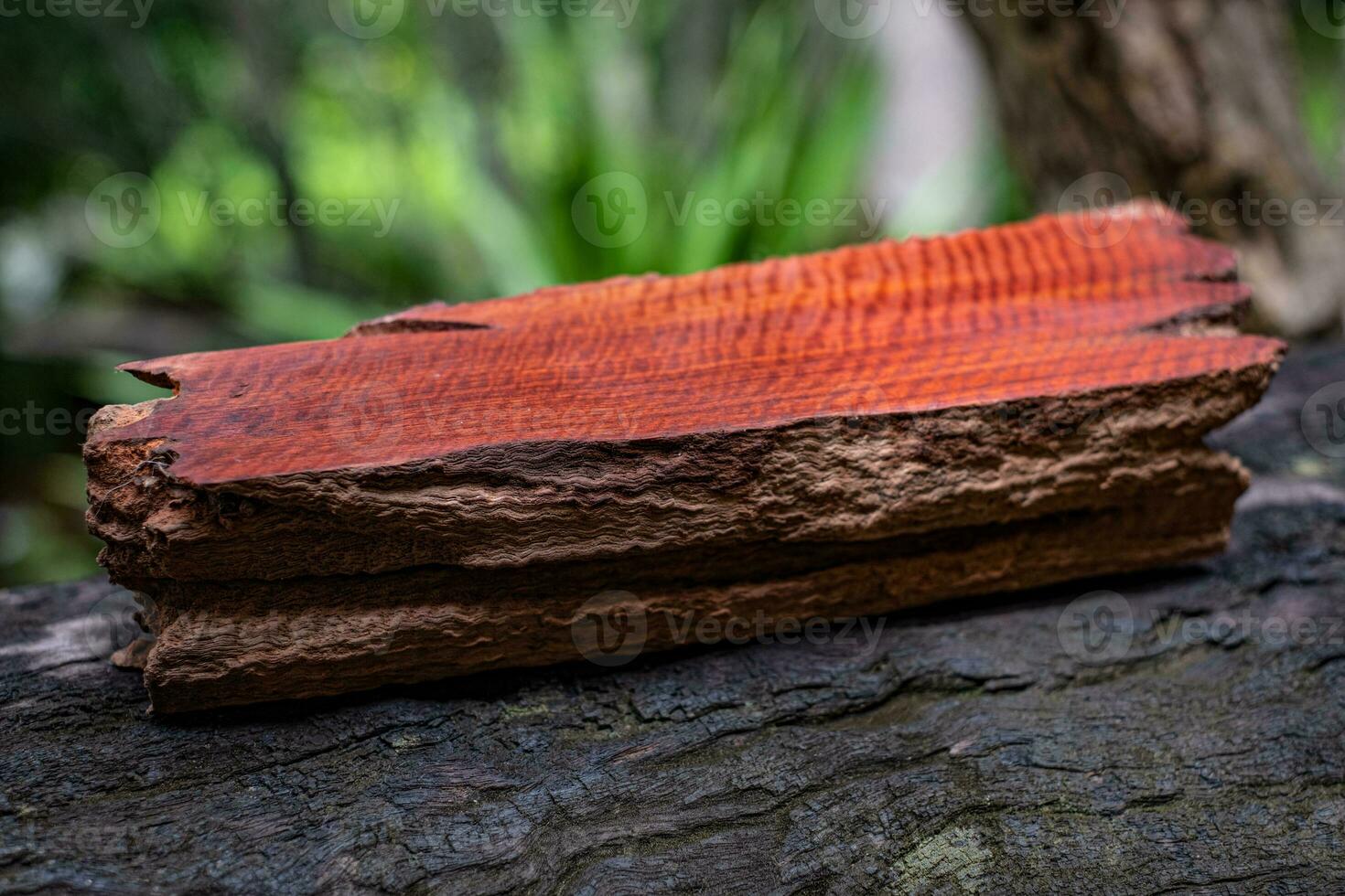 la madera tiene una veta de raya de tigre o raya rizada, foto