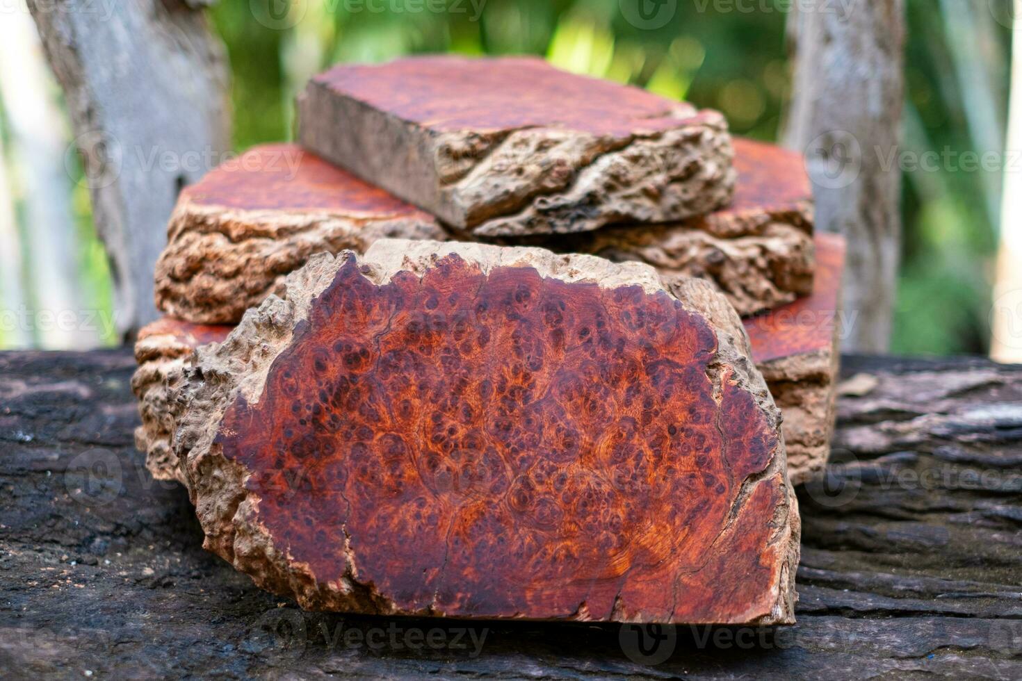 troncos de madera de burl amboyna foto