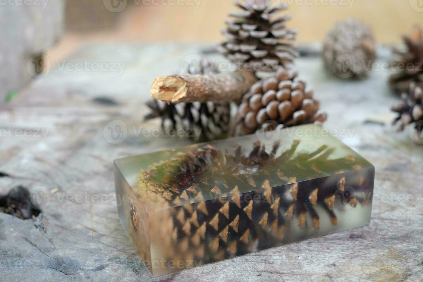 Casting epoxy resin Stabilizing pine photo