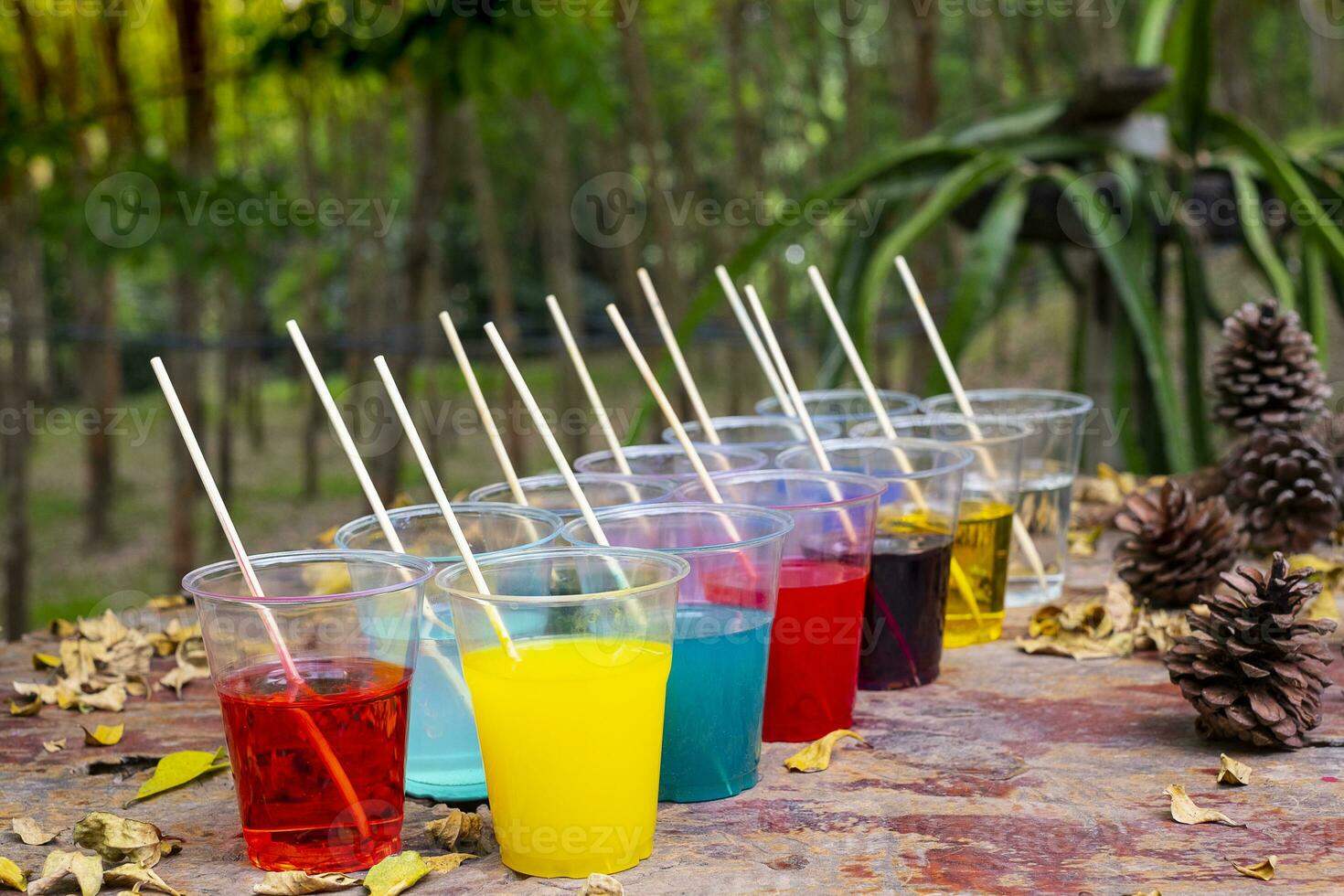Epoxy resin in cup for casting stabilizing wood photo