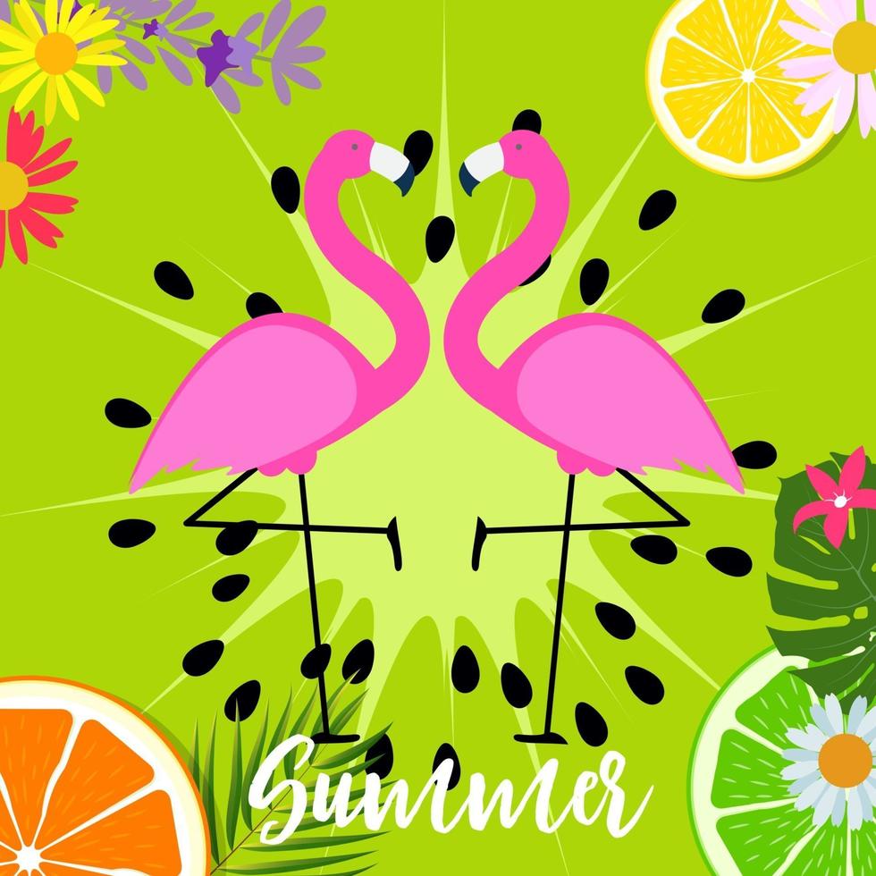 Cute Pink Flamingo Summer Background Vector Illustration