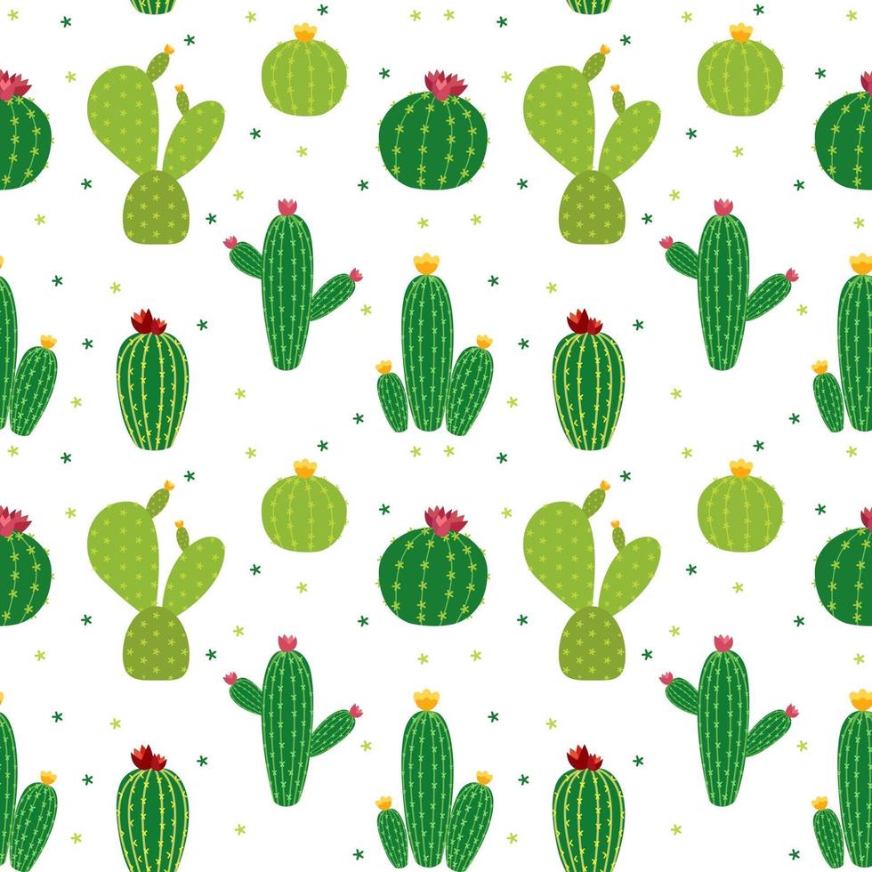 Cactus Icon Collection Seamless Pattern Background Vector Illustration