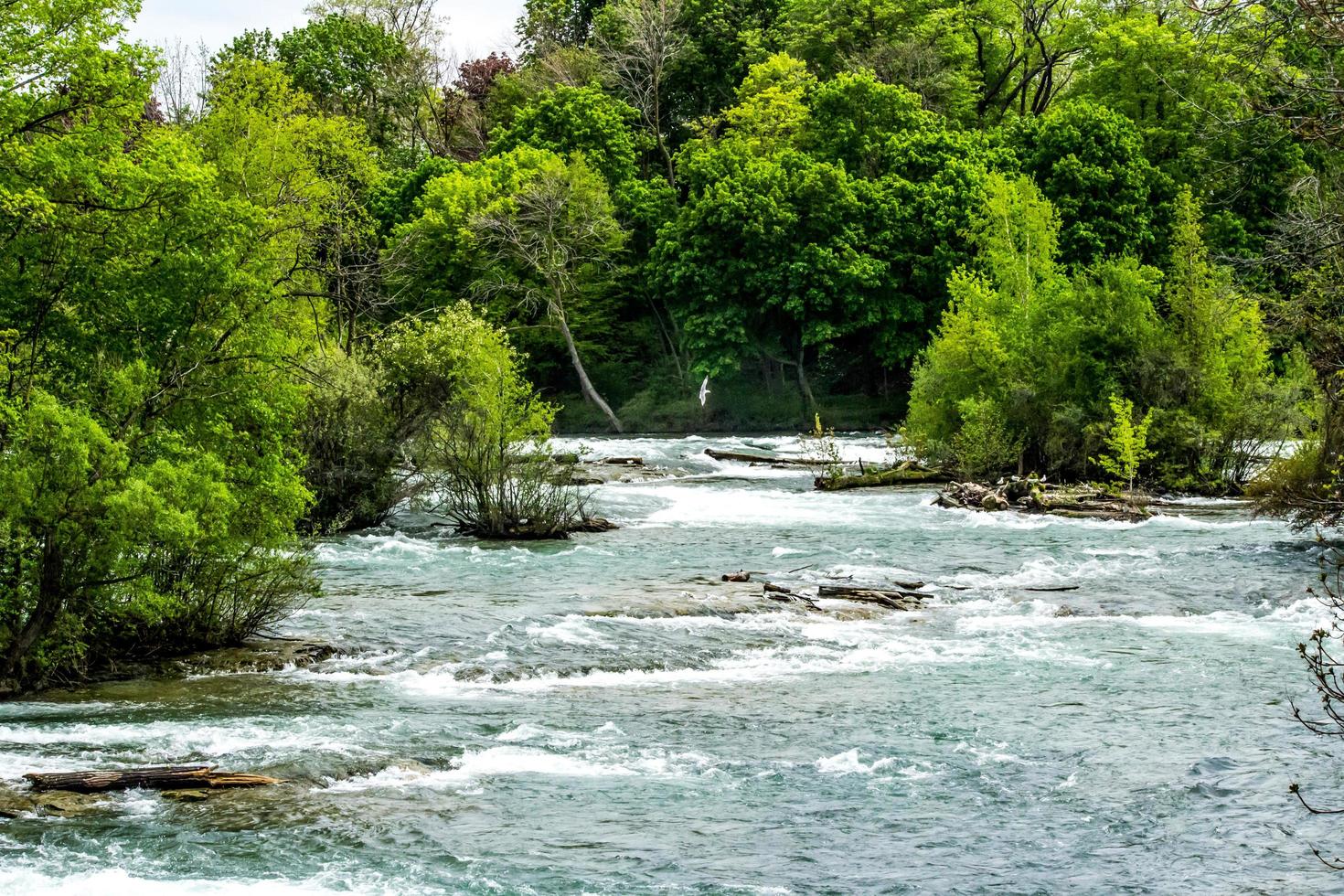 río niágara en 2017 foto