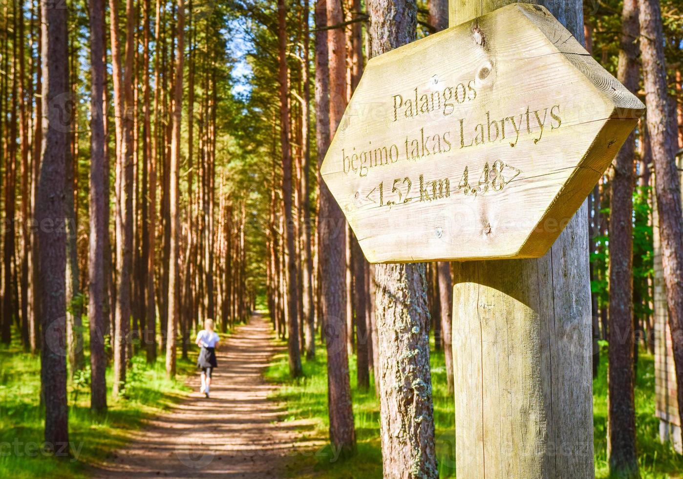 Woman running on running trail in pine forest in Palanga, Lithuania photo