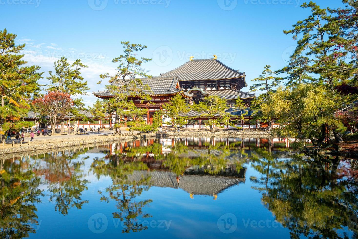 Deers and middle gate of Todaiji in Nara, Japan photo