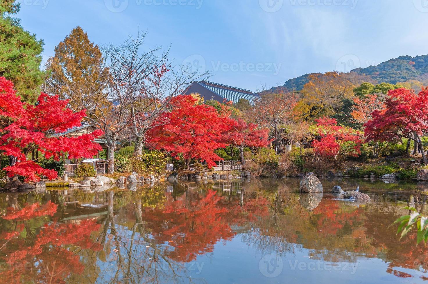 parque maruyama en kyoto, japón en otoño foto