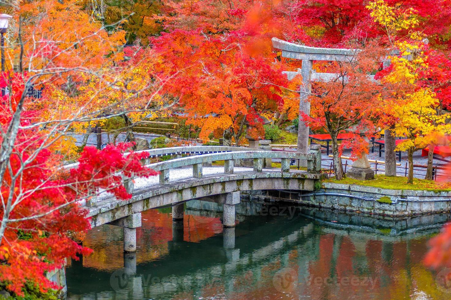 follaje de otoño en el templo eikando en kyoto, japón foto