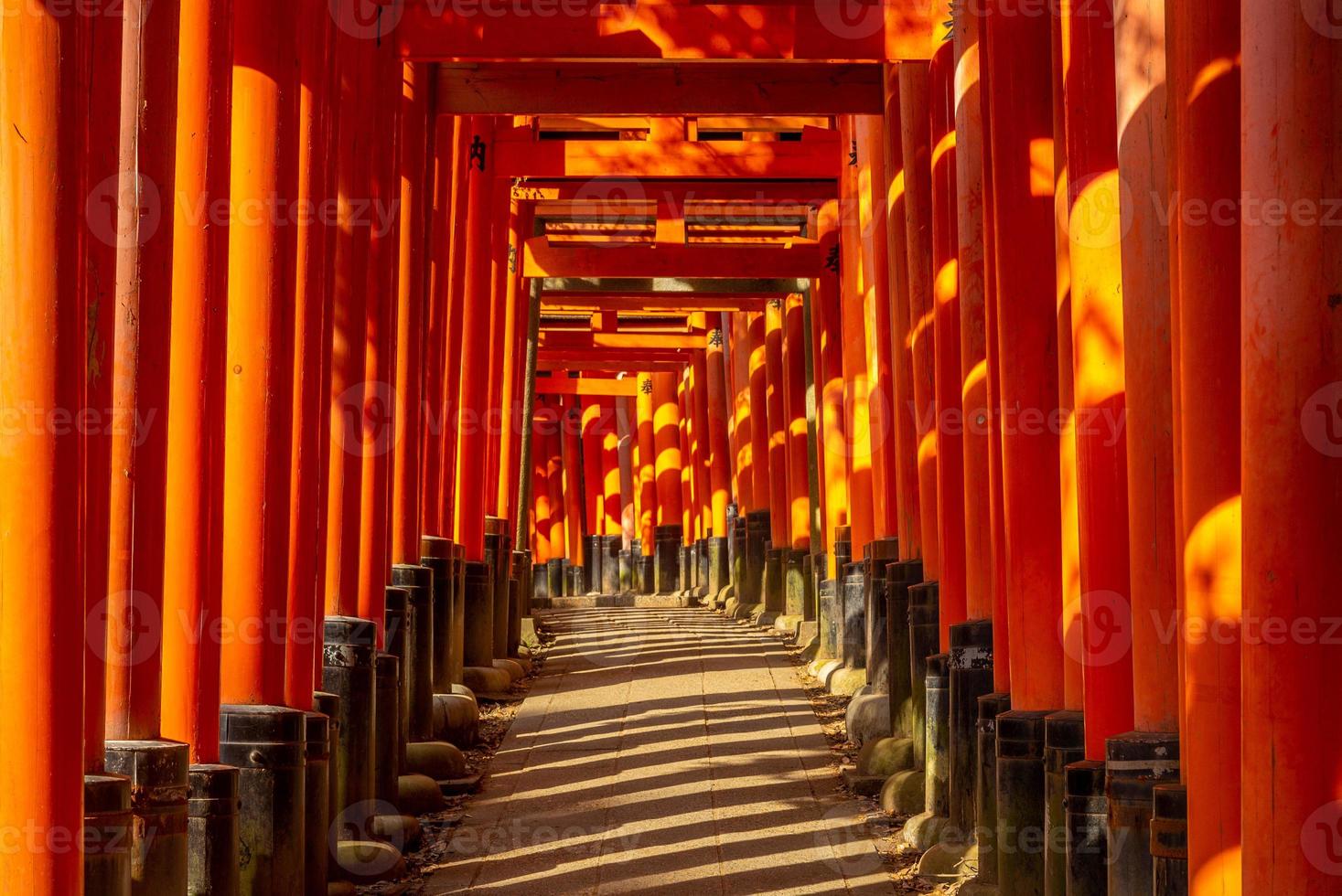 Senbon torii path en fushimi inari taisha, Kyoto, Japón foto