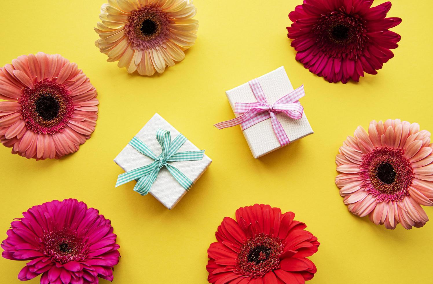 Gerbera flowers and gift boxes on a yellow photo