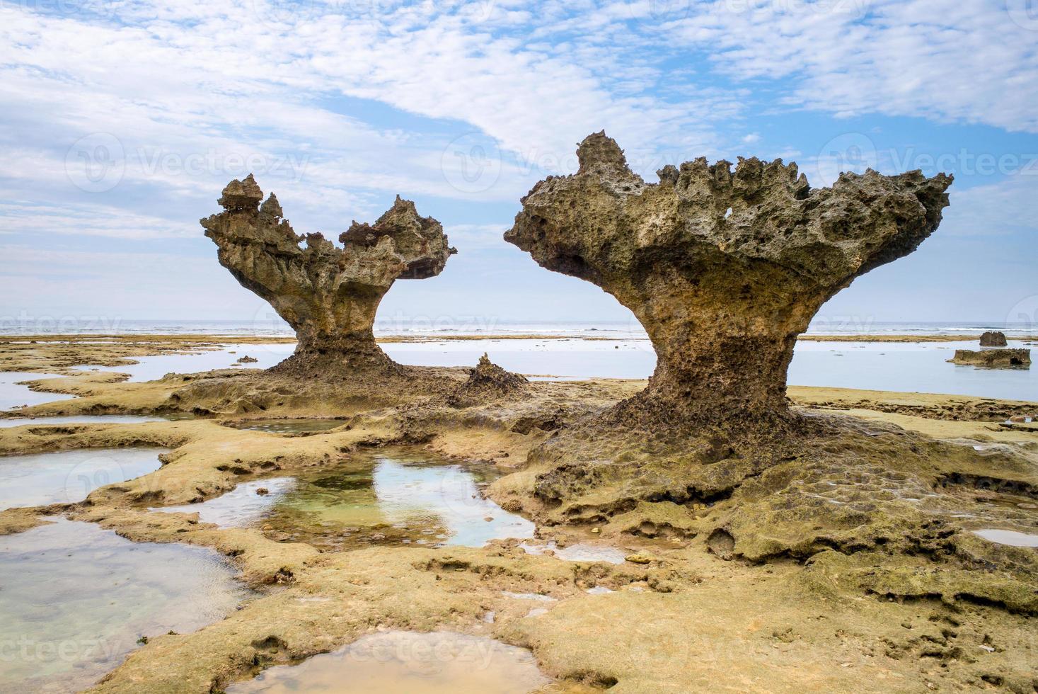 rocas en okinawa, japón foto