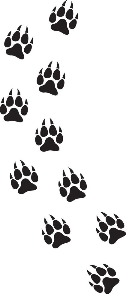 Wolf Paw Print Track vector