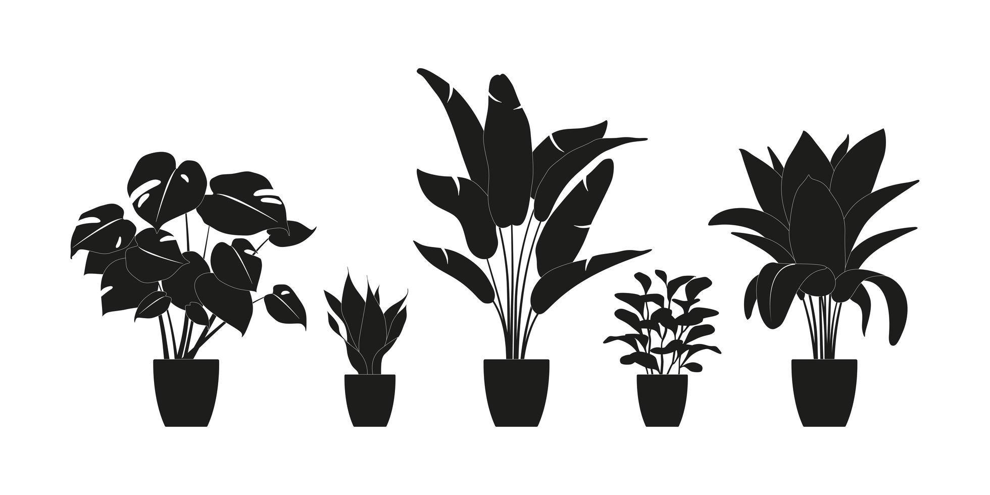 Collection silhouettes of houseplants in black color. Potted plants isolated on white. set green tropical plants. trendy home decor with indoor plants, planters, tropical leaves. vector