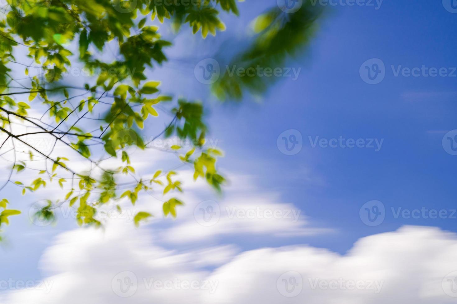 Green tree in a beautiful park under blue sky, Long exposure photo