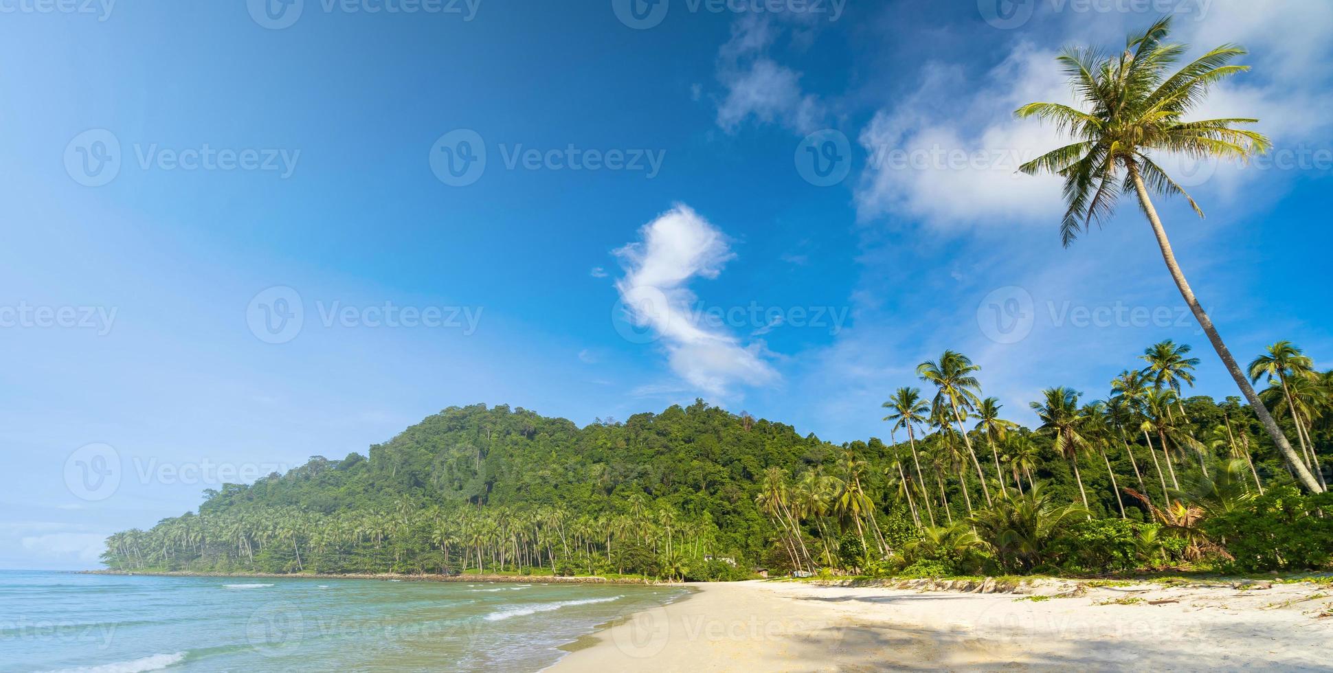 Beautiful tropical beach and sea with coconut palm tree under blue sky photo