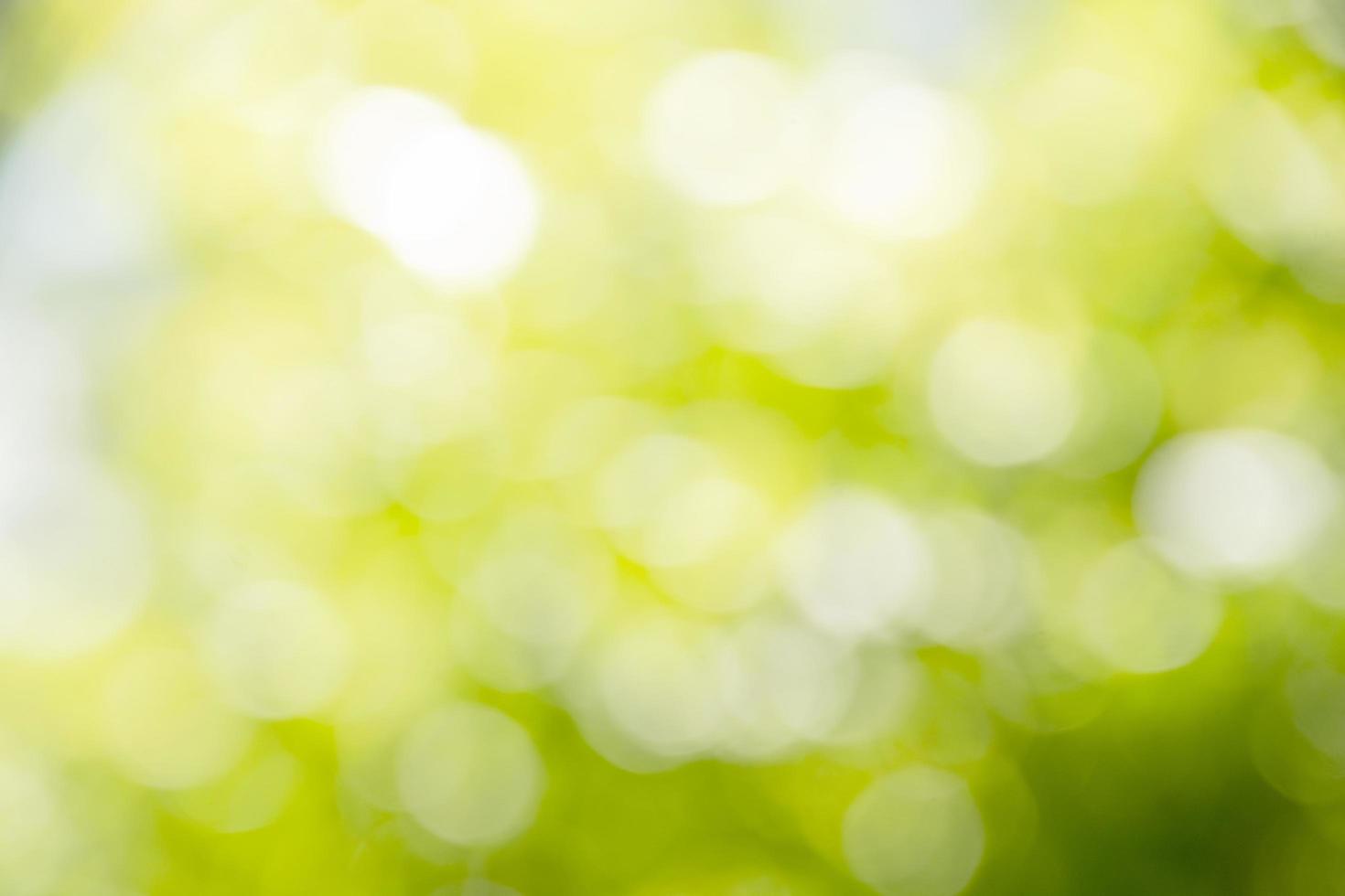 Green bokeh on nature defocus art abstract blur background blurred of green leaf with morning light photo