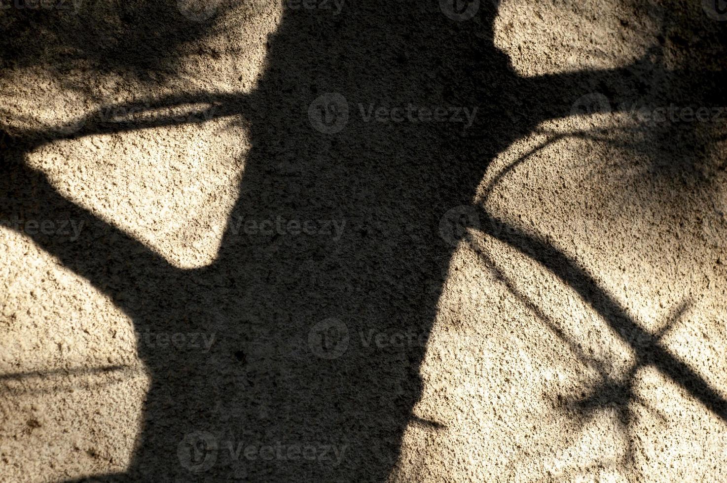 Dark shadow of a tree on a concrete wall photo
