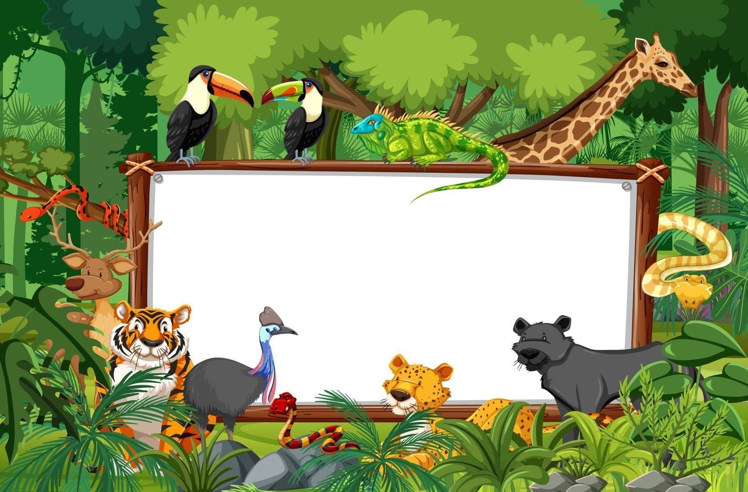 Blank banner in the rainforest scene with wild animals vector