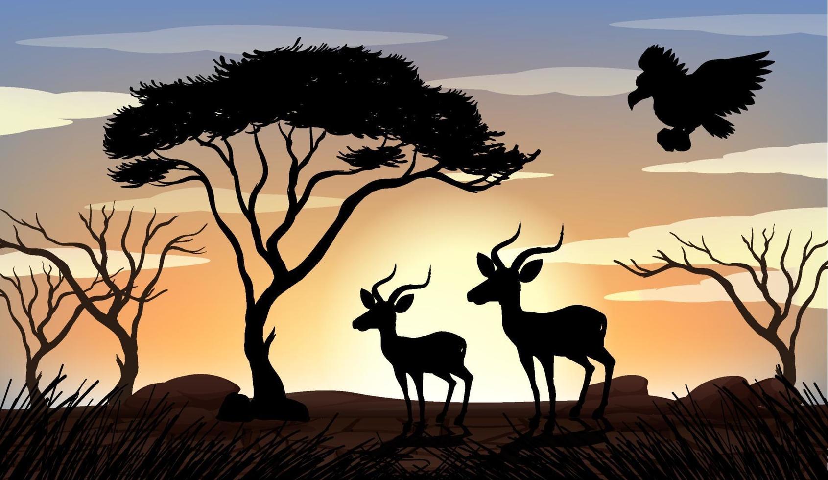 Outdoor nature silhouette sunset scene vector
