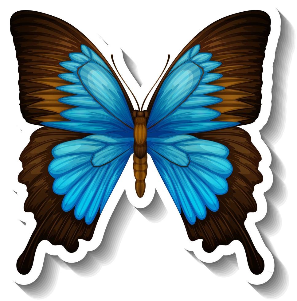 A sticker template with butterfly or moth isolated vector