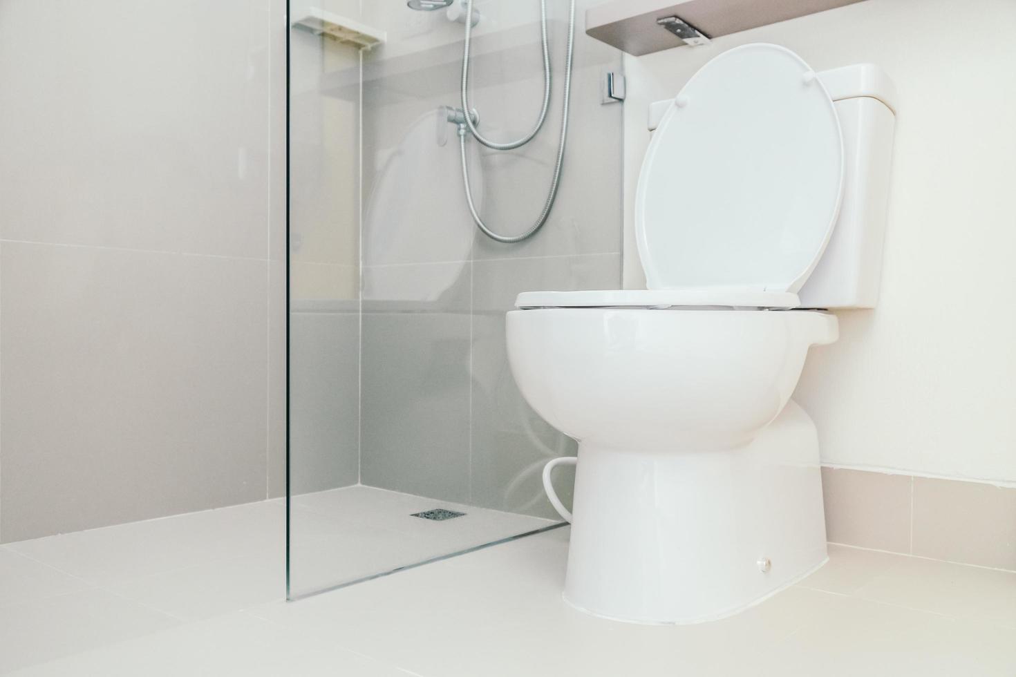 Toilet and bathroom interior photo