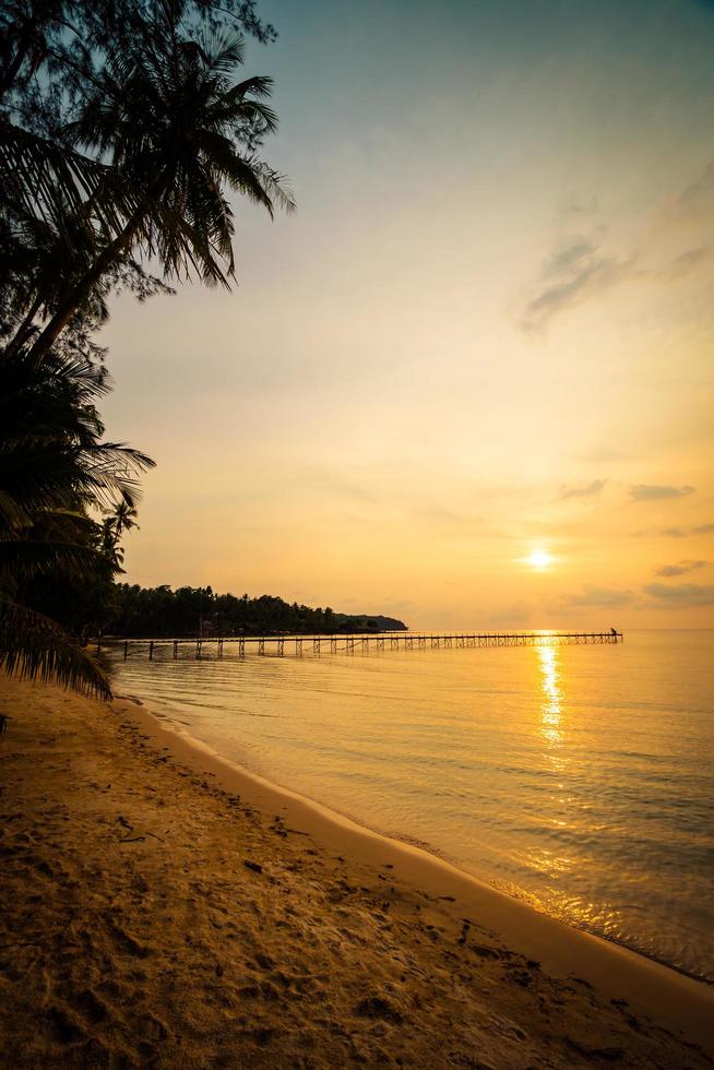 Beautiful paradise island with beach and sea around coconut palm tree photo