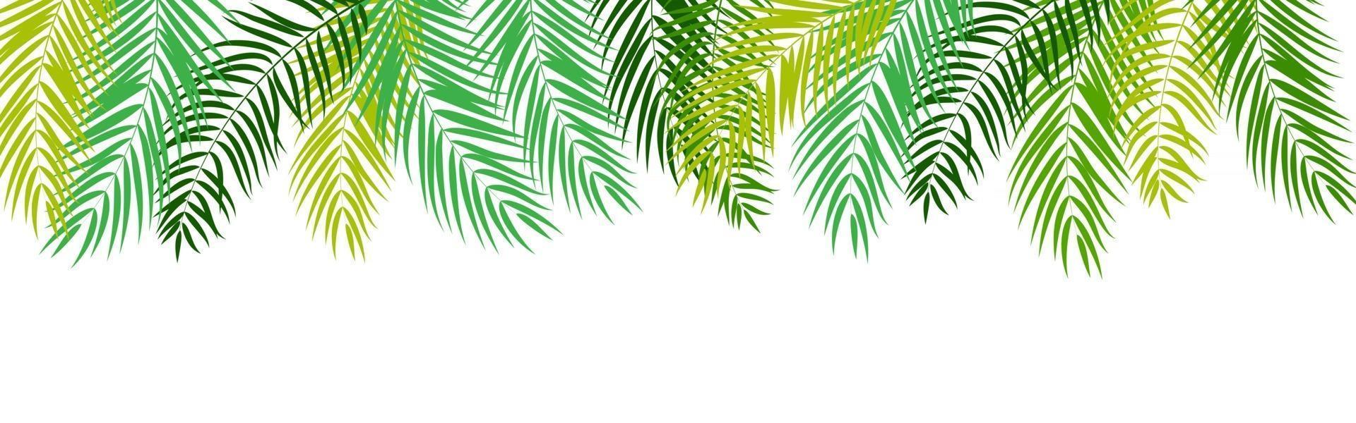 Beautifil Palm Tree Leaf  Silhouette Background Vector Illustration