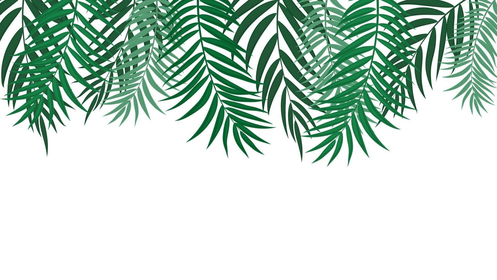 beautifil, palmera, hoja, silueta, plano de fondo, vector, ilustración vector