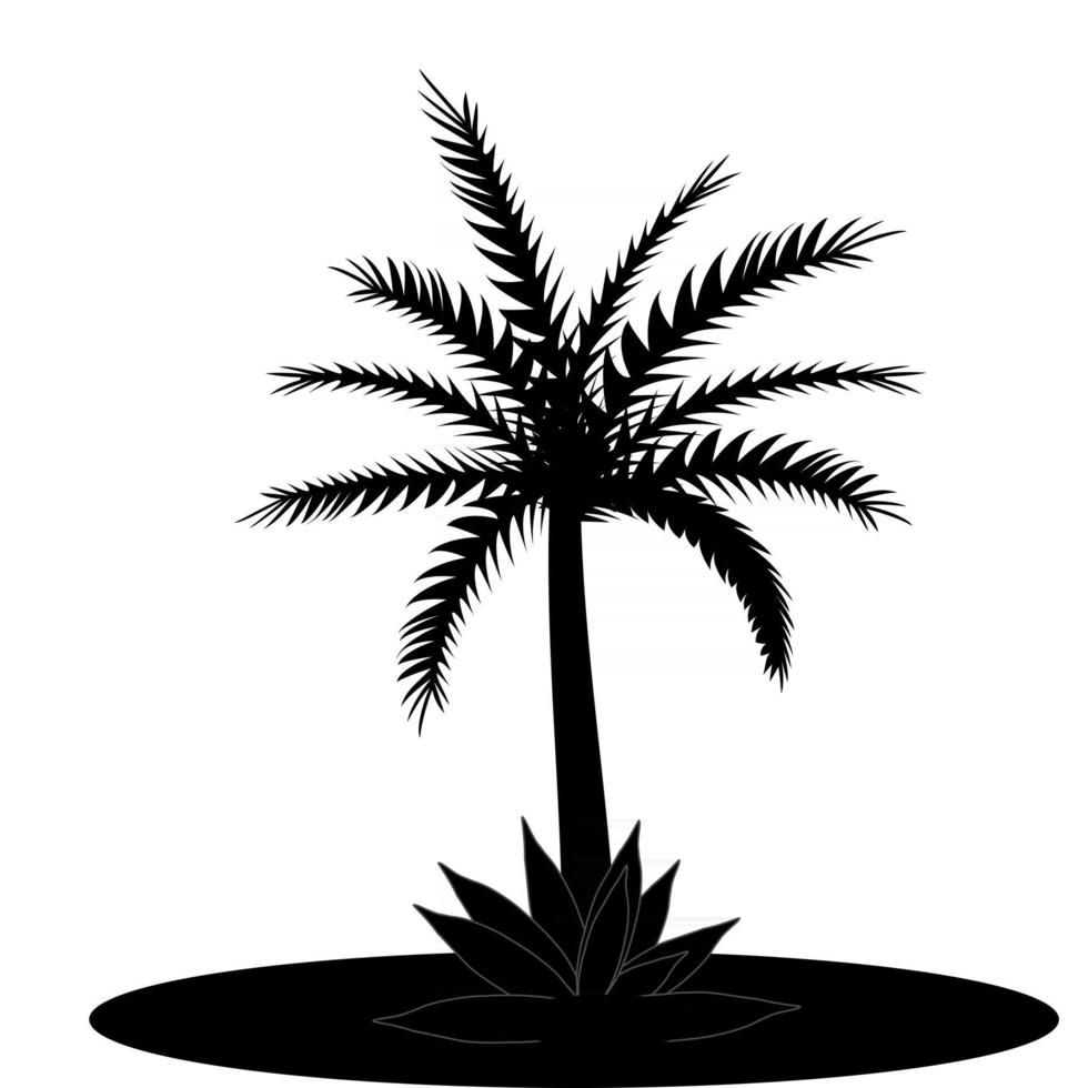 Beautiful Black and White Palm Tree Leaf Silhouette Background Vector Illustration