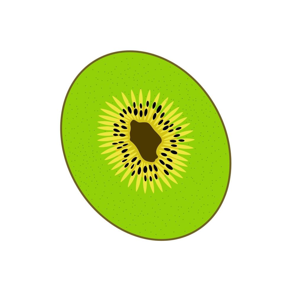 Cut of the Sweet, ripe, tasty and fragrant Kiwi. Vector Illustration