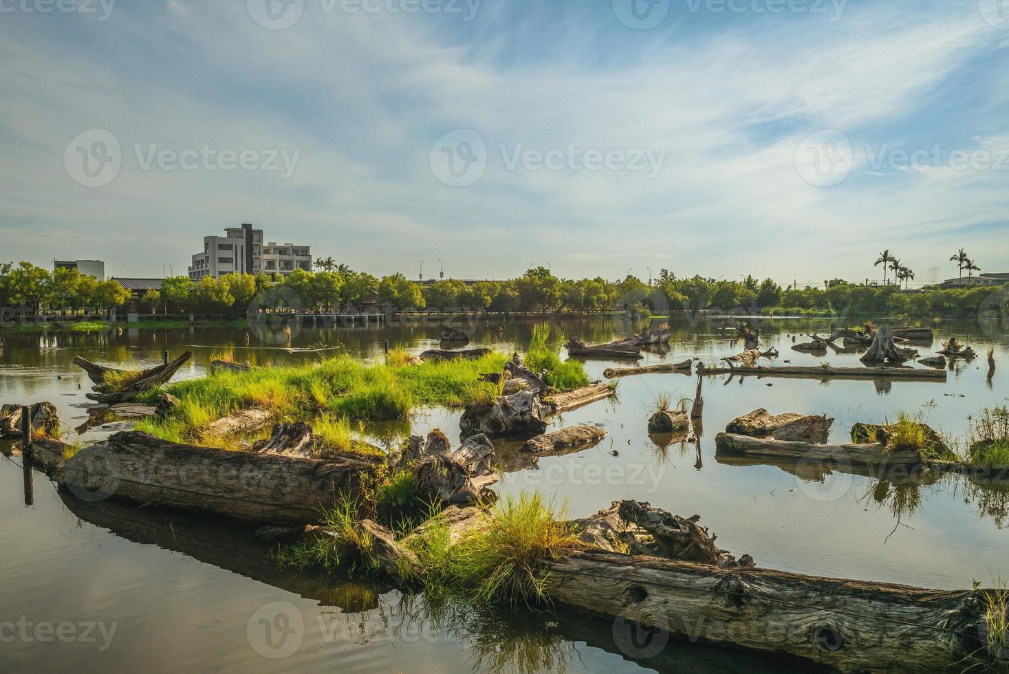 Timber pond of Luodong Forestry Culture Park in Yilan, Taiwan photo