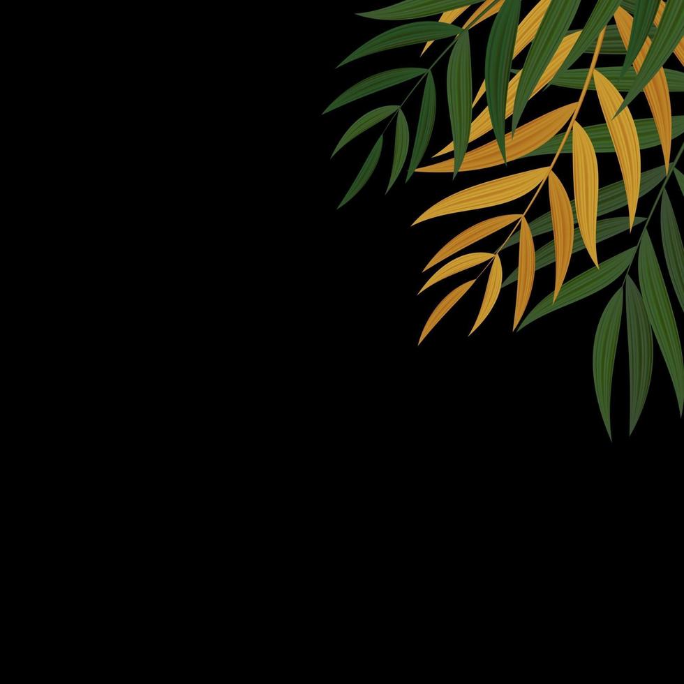 Abstract Realistic Green Palm Leaf Tropical Background. Vector illustration EPS10